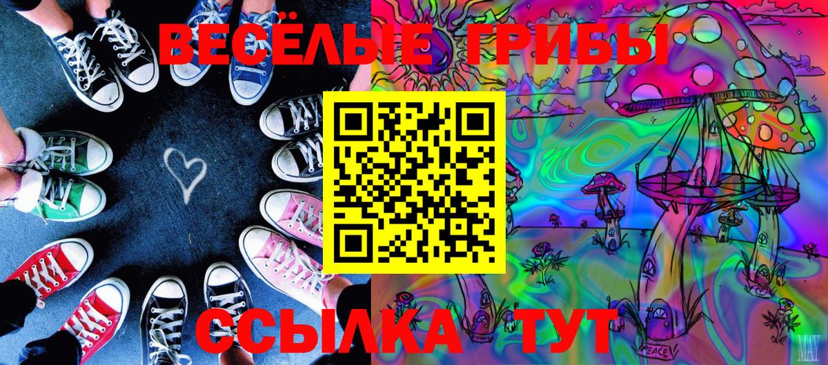 Белово  Псилоцибиновые грибы GOLDEN TEACHER  Галлюциногенные грибы ЛСД  Вход с VPN 